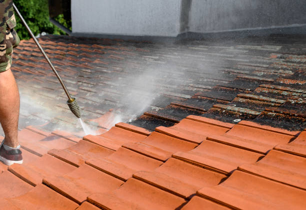  Brookwood, AL Pressure Washing Pros