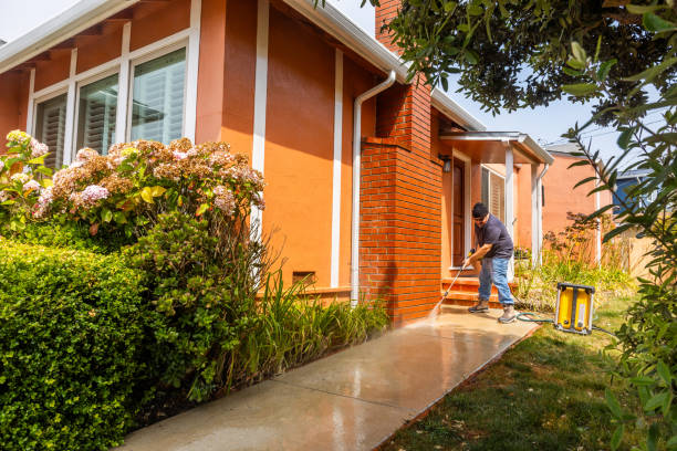 Best Affordable Pressure Washing  in Brookwood, AL