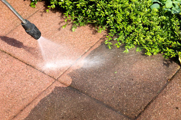 Best Best Pressure Washing Companies  in Brookwood, AL